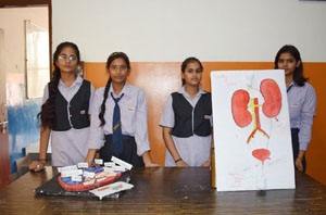 Science Project Pataudi 2023 19